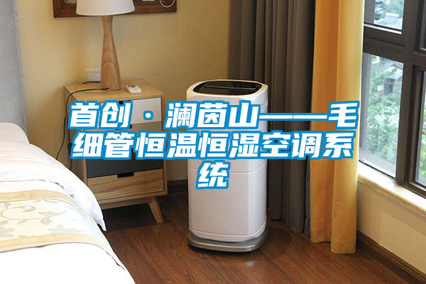 欧美成色手机在线观看 首创·澜茵山——毛细管恒温恒湿空调系统