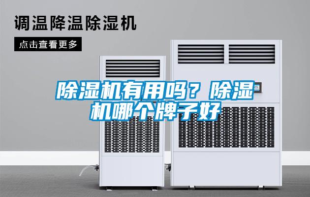 欧美黄色电影在线播放 除湿机有用吗？除湿机哪个牌子好