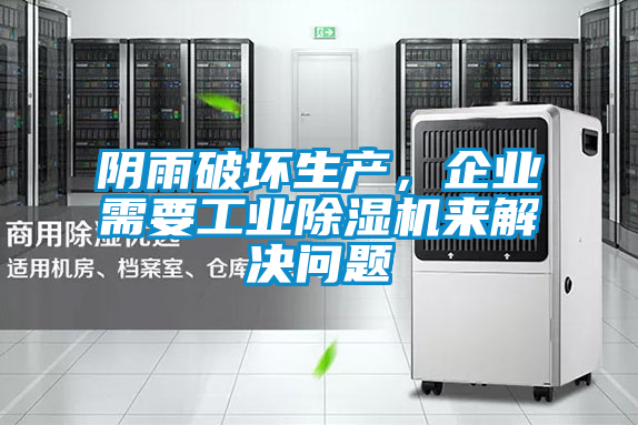 欧美黄色电影在线播放 阴雨破坏生产，企业需要工业除湿机来解决问题