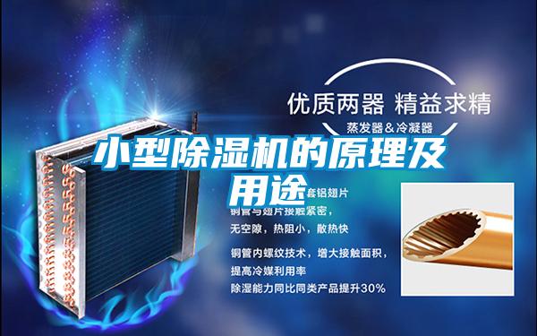 欧美黄色电影在线播放 小型除湿机的原理及用途