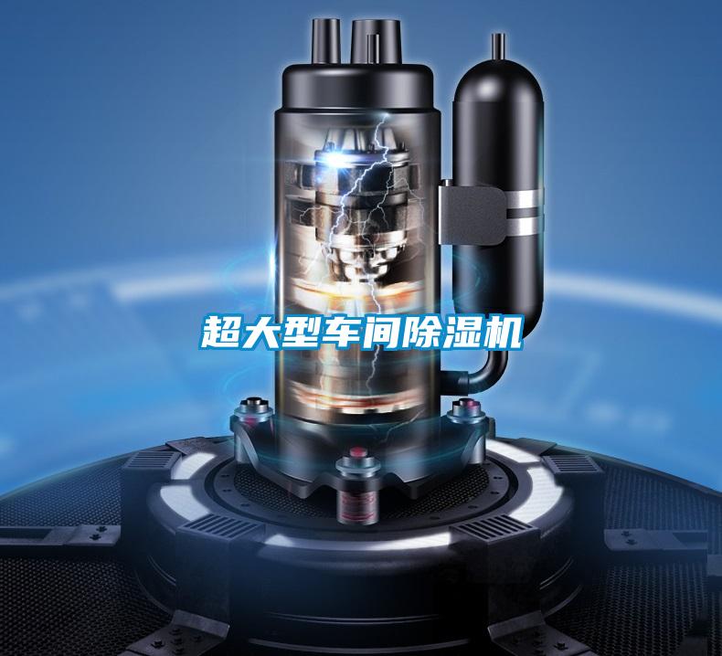 欧美黄色性爱视频网站 超大型车间除湿机