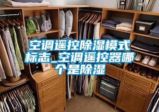 欧美黄色电影在线播放 空调遥控除湿模式标志_空调遥控器哪个是除湿