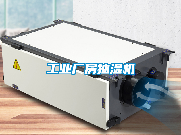 欧美黄色电影在线播放 工业厂房抽湿机