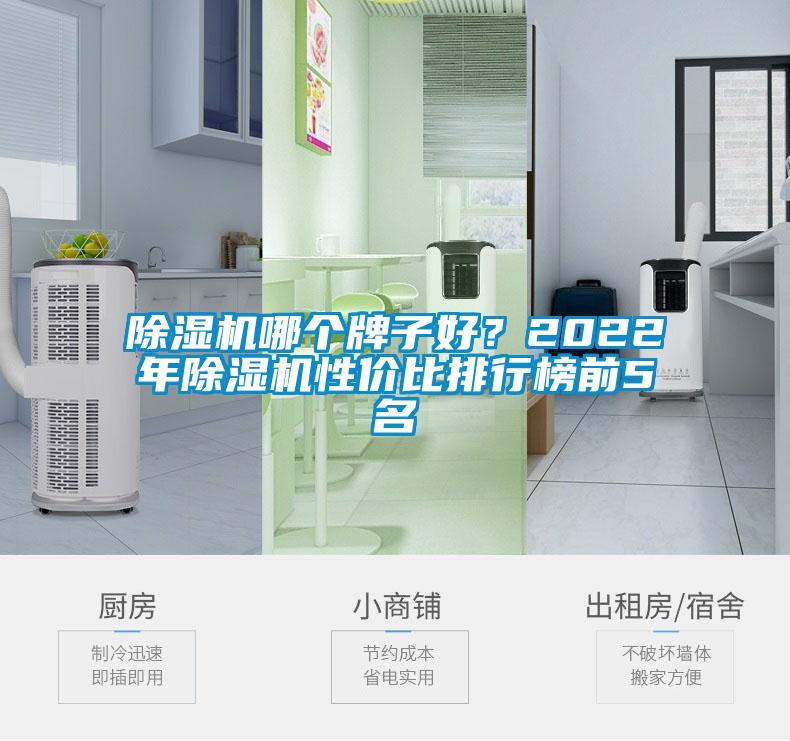 欧美黄色电影在线播放 除湿机哪个牌子好？2022年除湿机性价比排行榜前5名
