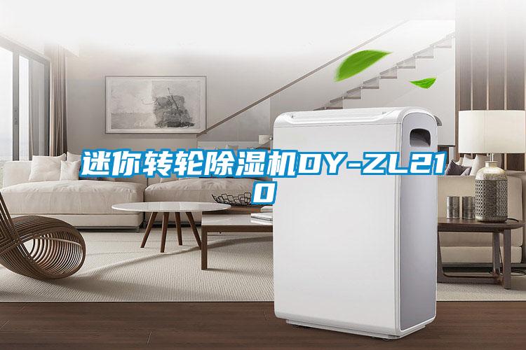 欧美黄色电影在线播放 迷你转轮除湿机DY-ZL210