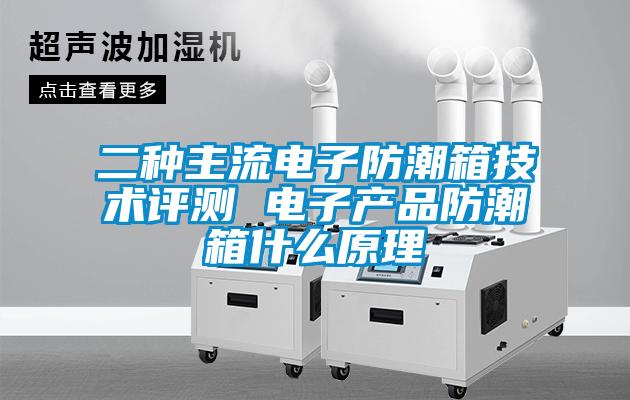 欧美成色手机在线观看 二种主流电子防潮箱技术评测 电子产品防潮箱什么原理