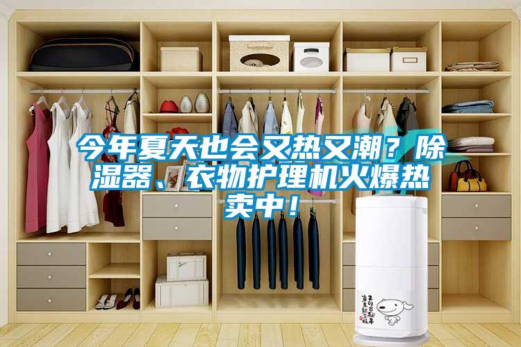 欧美成色手机在线观看 今年夏天也会又热又潮？除湿器、衣物护理机火爆热卖中！