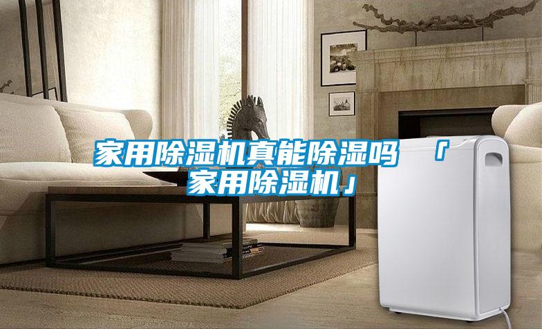 欧美成色手机在线观看 家用除湿机真能除湿吗 「家用除湿机」