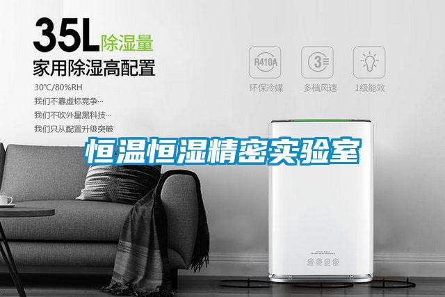 欧美黄色性爱视频网站 恒温恒湿精密实验室