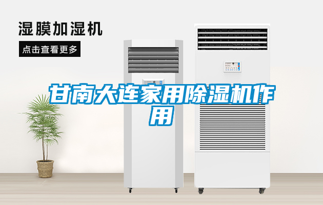 欧美黄色性爱视频网站 甘南大连家用除湿机作用