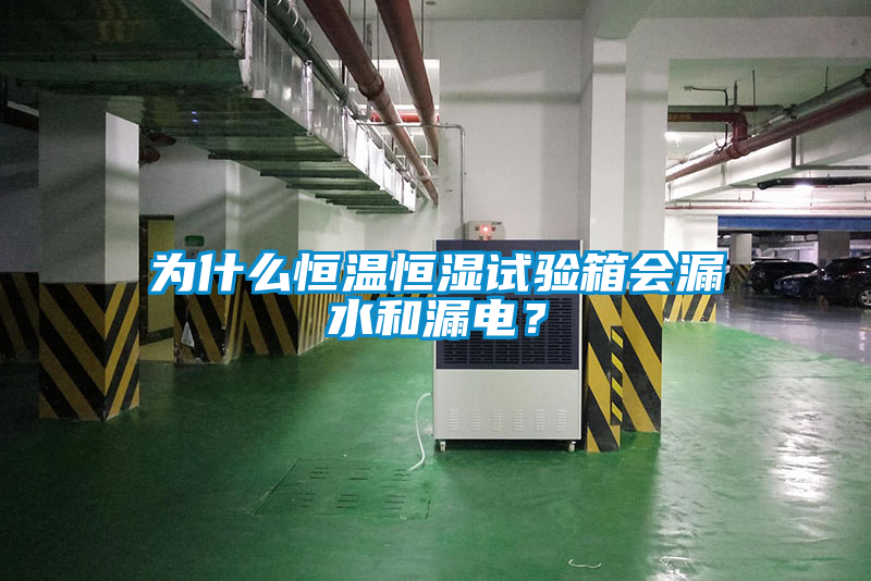 欧美成色手机在线观看 为什么恒温恒湿试验箱会漏水和漏电？