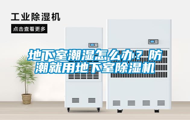欧美成色手机在线观看 地下室潮湿怎么办？防潮就用地下室除湿机