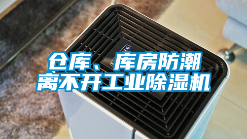 欧美成色手机在线观看 仓库、库房防潮离不开工业除湿机
