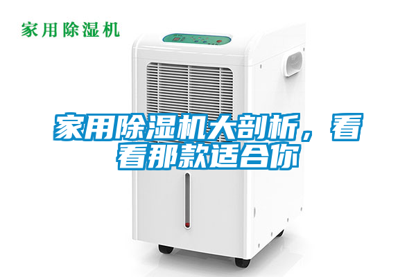 欧美黄色电影在线播放 家用除湿机大剖析，看看那款适合你
