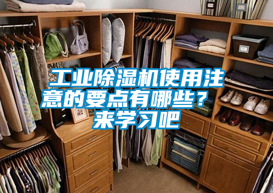 欧美黄色性爱视频网站 工业除湿机使用注意的要点有哪些？ 来学习吧