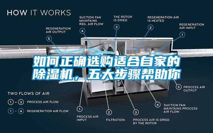 欧美黄色性爱视频网站 如何正确选购适合自家的除湿机，五大步骤帮助你