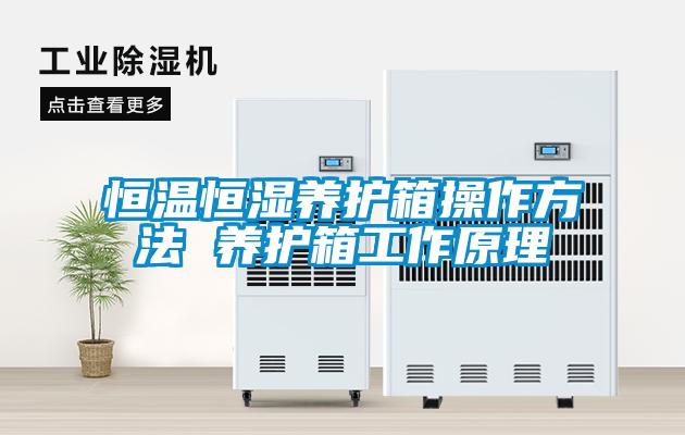 欧美成色手机在线观看 恒温恒湿养护箱操作方法 养护箱工作原理