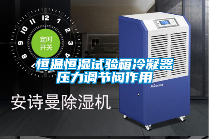 欧美黄色电影在线播放 恒温恒湿试验箱冷凝器压力调节阀作用