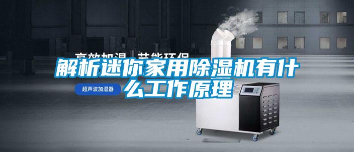 欧美成色手机在线观看 解析迷你家用除湿机有什么工作原理