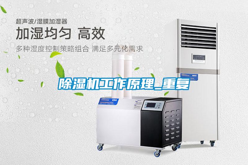 欧美成色手机在线观看 除湿机工作原理_重复