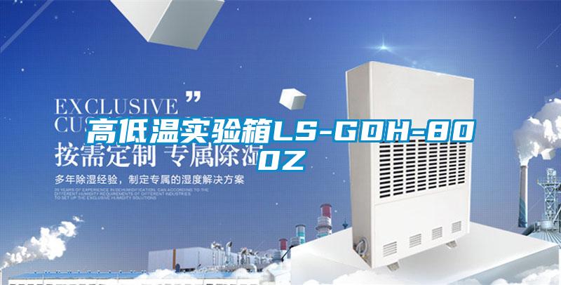 欧美黄色电影在线播放 高低温实验箱LS-GDH-800Z