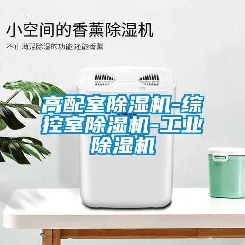 欧美成色手机在线观看 高配室除湿机-综控室除湿机-工业除湿机