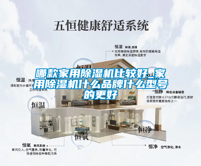 欧美黄色性爱视频网站 哪款家用除湿机比较好_家用除湿机什么品牌什么型号的更好