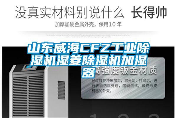 欧美成色手机在线观看 山东威海CFZ工业除湿机湿菱除湿机加湿器