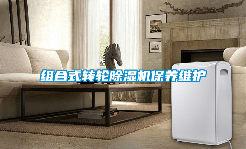 欧美成色手机在线观看 组合式转轮除湿机保养维护