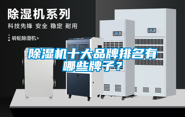 欧美黄色性爱视频网站 除湿机十大品牌排名有哪些牌子？