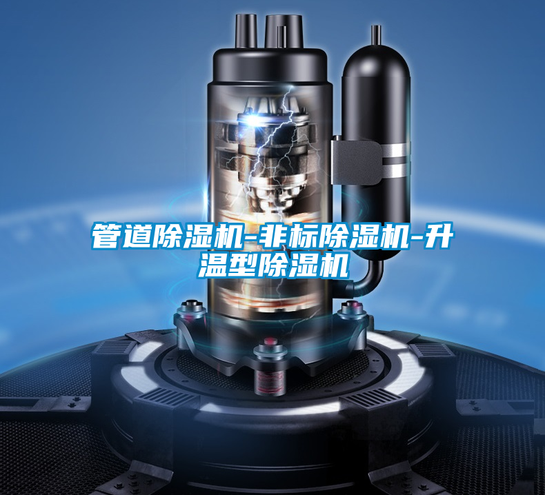 欧美黄色性爱视频网站 管道除湿机-非标除湿机-升温型除湿机