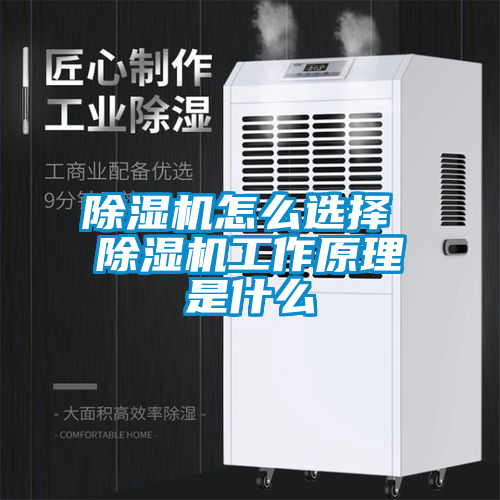 欧美黄色性爱视频网站 除湿机怎么选择 除湿机工作原理是什么