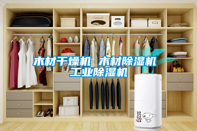 欧美成色手机在线观看 木材干燥机 木材除湿机 工业除湿机