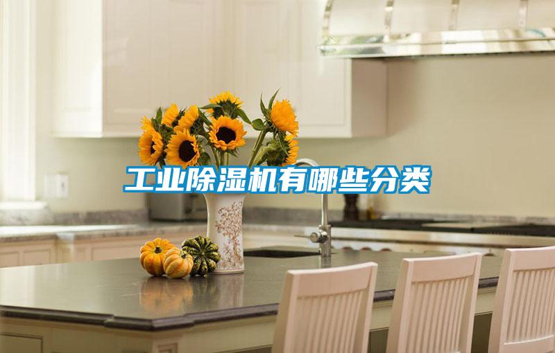 欧美成色手机在线观看 工业除湿机有哪些分类