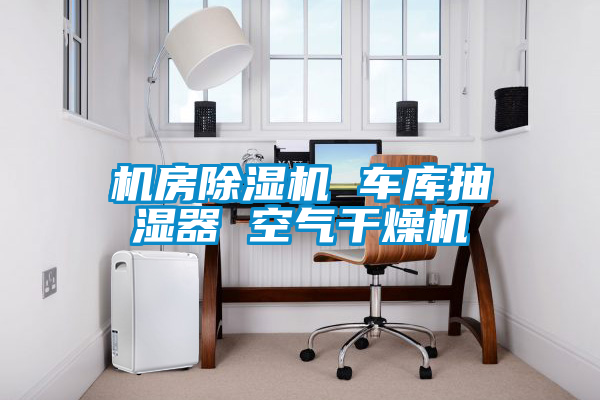 欧美成色手机在线观看 机房除湿机 车库抽湿器 空气干燥机