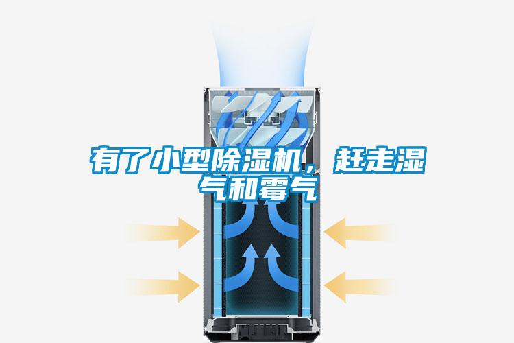 欧美黄色电影在线播放 有了小型除湿机，赶走湿气和霉气