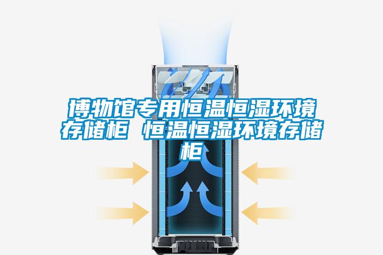 欧美黄色性爱视频网站 博物馆专用恒温恒湿环境存储柜 恒温恒湿环境存储柜