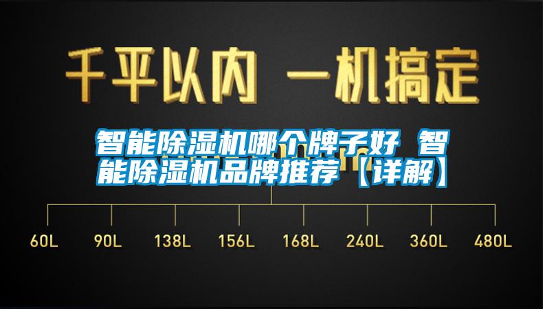 欧美成色手机在线观看 智能除湿机哪个牌子好 智能除湿机品牌推荐【详解】