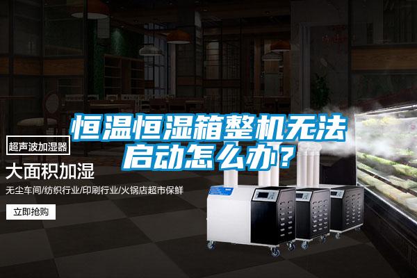 欧美黄色电影在线播放 恒温恒湿箱整机无法启动怎么办？