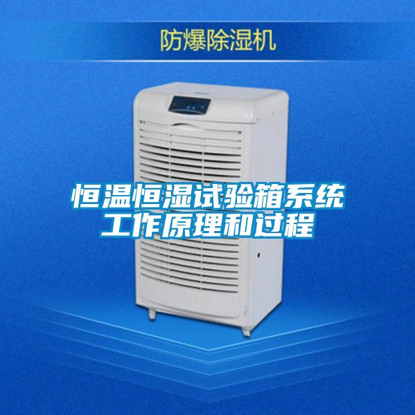 欧美黄色性爱视频网站 恒温恒湿试验箱系统工作原理和过程