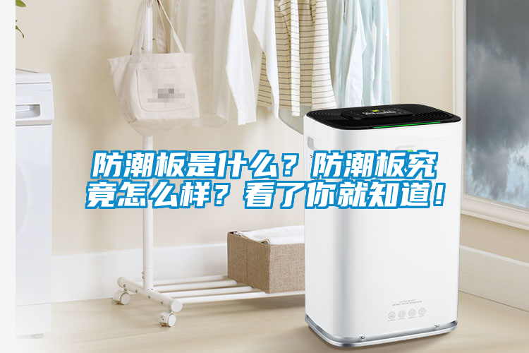 欧美黄色性爱视频网站 防潮板是什么？防潮板究竟怎么样？看了你就知道！