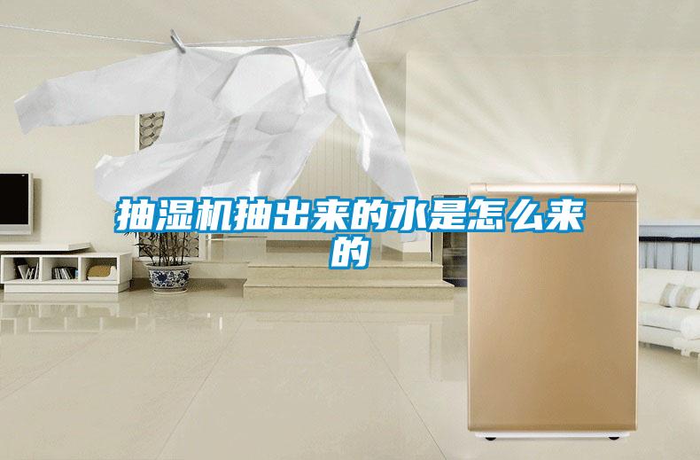 欧美黄色性爱视频网站 抽湿机抽出来的水是怎么来的