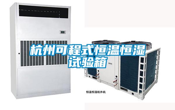 欧美黄色性爱视频网站 杭州可程式恒温恒湿试验箱