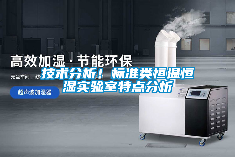 欧美黄色性爱视频网站 技术分析！标准类恒温恒湿实验室特点分析