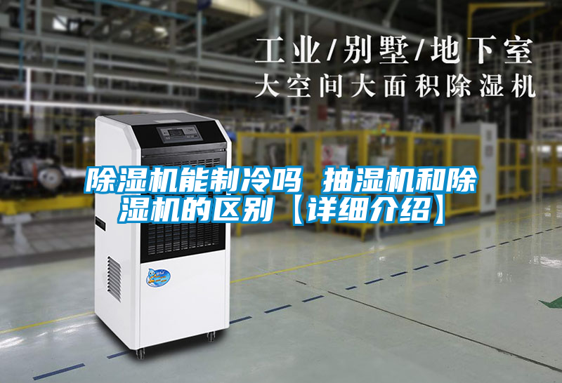 欧美黄色电影在线播放 除湿机能制冷吗 抽湿机和除湿机的区别【详细介绍】