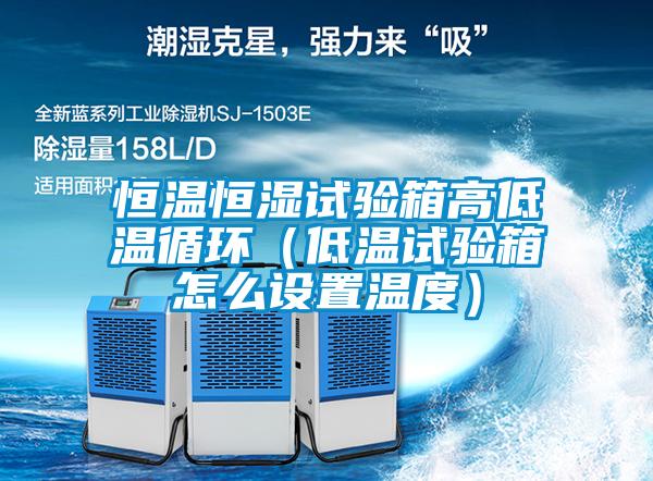欧美黄色性爱视频网站 恒温恒湿试验箱高低温循环（低温试验箱怎么设置温度）