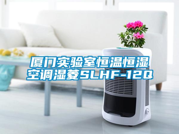 欧美成色手机在线观看 厦门实验室恒温恒湿空调湿菱SLHF-12Q