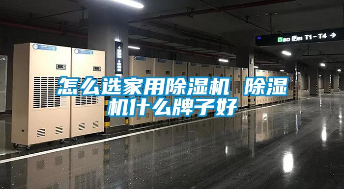 欧美黄色电影在线播放 怎么选家用除湿机 除湿机什么牌子好