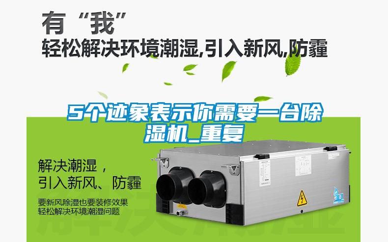 欧美成色手机在线观看 5个迹象表示你需要一台除湿机_重复
