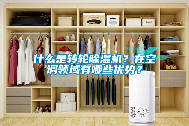 欧美黄色性爱视频网站 什么是转轮除湿机？在空调领域有哪些优势？